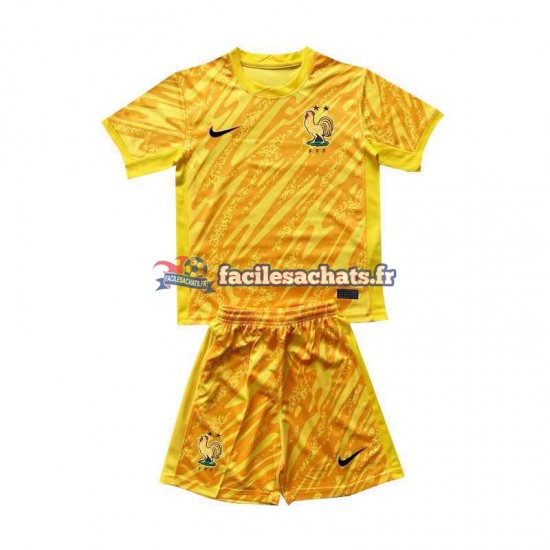 Maillot France Euro 2024 Gardien Jaune Domicile Enfant MC