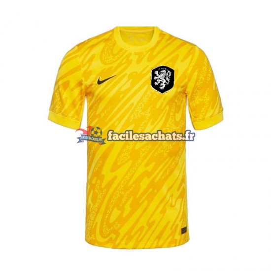 Maillot Pays-Bas Euro 2024 Gardien Jaune Extérieur Homme MC