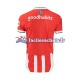 Maillot PSV Eindhoven 2024-2025 Domicile Homme MC