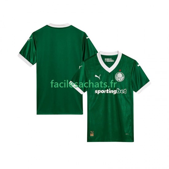 Maillot Palmeiras 2025-2026 Domicile Homme MC