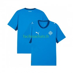 Maillot Islande 2026 Domicile Homme MC