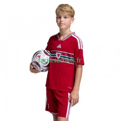 Maillot Pays de Galles 2026 Domicile Enfant MC