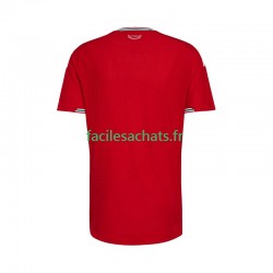 Maillot Pays de Galles 2026 Domicile Homme MC