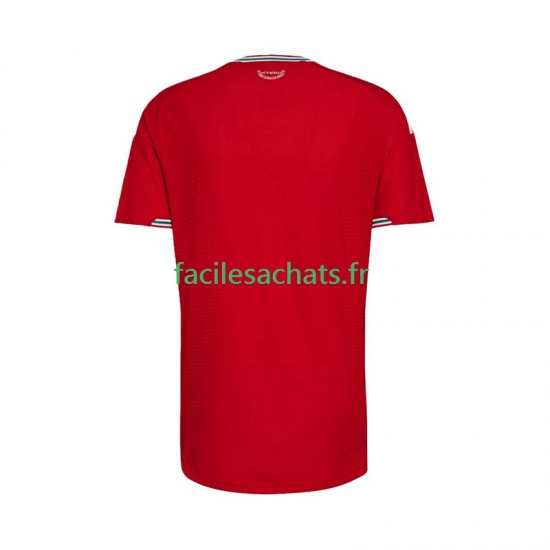 Maillot Pays de Galles 2026 Domicile Homme MC