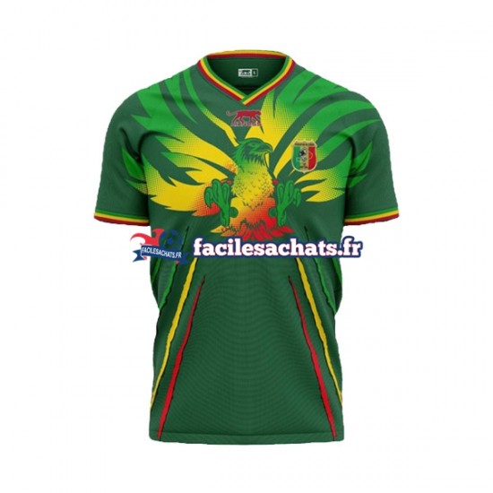 Maillot Mali 2024 Extérieur Homme MC