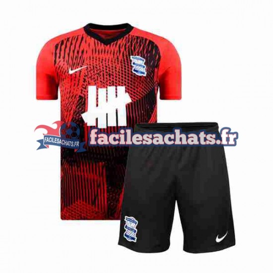 Maillot Birmingham City 2023-2024 Extérieur Enfant MC