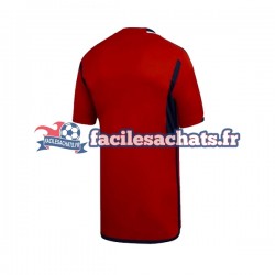 Maillot Colo-Colo 2023 Extérieur Homme MC