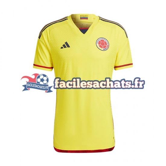 Maillot Colombie 2022-2023 Domicile Homme MC