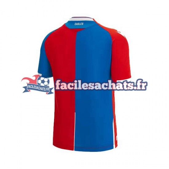 Maillot Crystal Palace 2023-2024 Domicile Homme MC