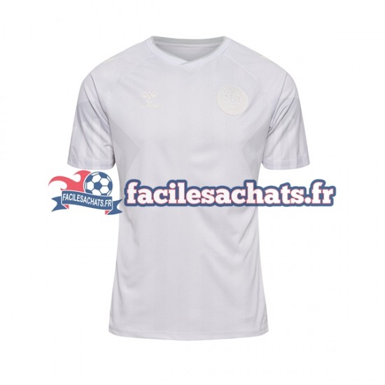 Maillot Danemark World Cup 2022 Extérieur Homme MC