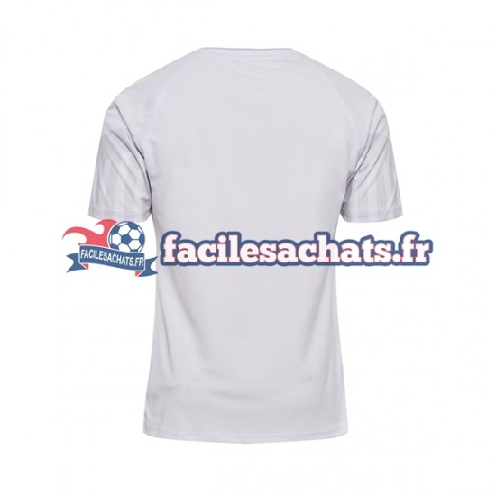 Maillot Danemark World Cup 2022 Extérieur Homme MC