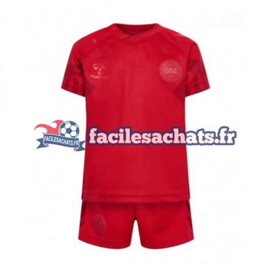 Maillot Danemark World Cup 2022 Domicile Enfant MC