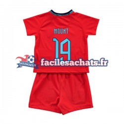 Maillot Angleterre Mount 19 World Cup 2022 Extérieur Enfant MC