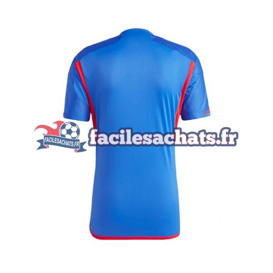 Maillot Olympique Lyonnais 2023-2024 Extérieur Homme MC