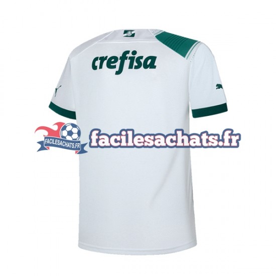 Maillot Palmeiras 2023-2024 Extérieur Homme MC