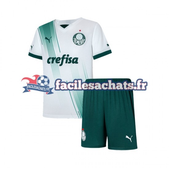 Maillot Palmeiras 2023-2024 Extérieur Enfant MC