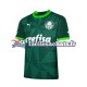 Maillot Palmeiras 2023-2024 Domicile Homme MC