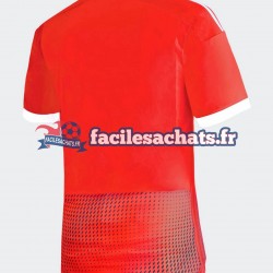 Maillot Pérou 2023 Extérieur Homme MC
