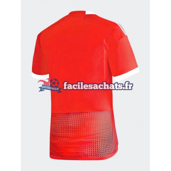 Maillot Pérou 2023 Extérieur Homme MC