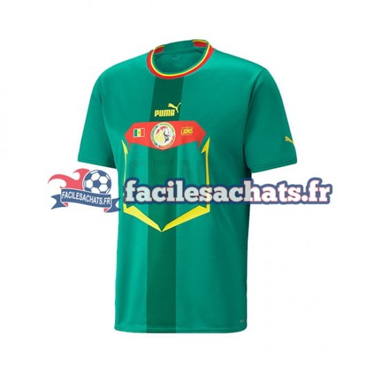 Maillot Sénégal World Cup 2022 Extérieur Homme MC