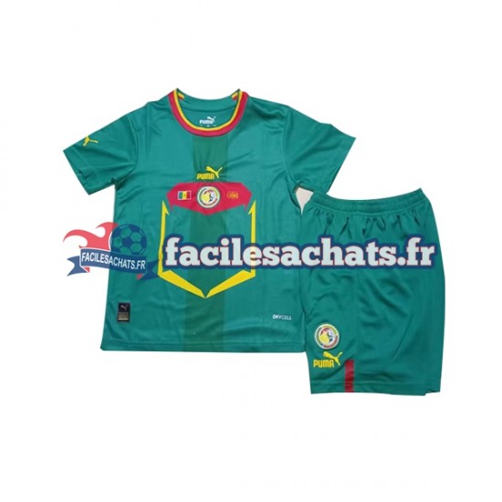 Maillot Sénégal World Cup 2022 Extérieur Enfant MC