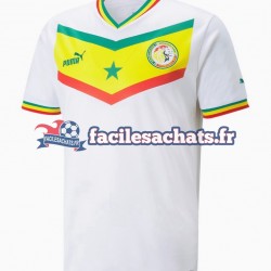 Maillot Sénégal World Cup 2022 Domicile Homme MC