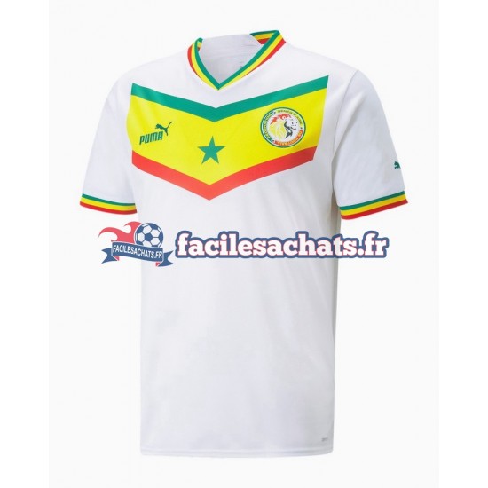 Maillot Sénégal World Cup 2022 Domicile Homme MC