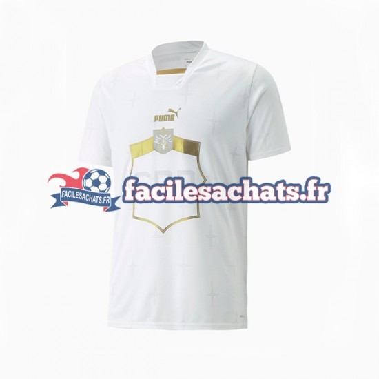 Maillot Serbie World Cup 2022 Extérieur Homme MC