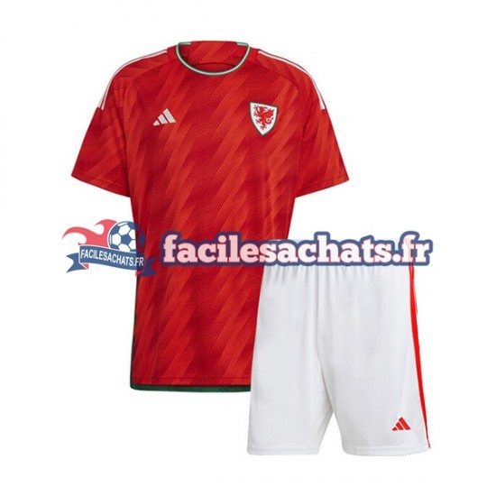 Maillot Pays de Galles World Cup 2022 Domicile Enfant MC