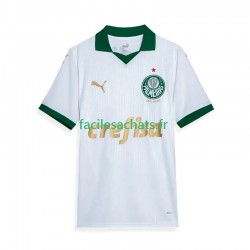 Maillot Palmeiras 2024 Extérieur Homme MC