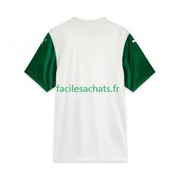 Maillot Palmeiras 2025 Extérieur Homme MC