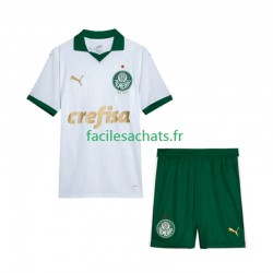 Maillot Palmeiras 2024 Extérieur Enfant MC