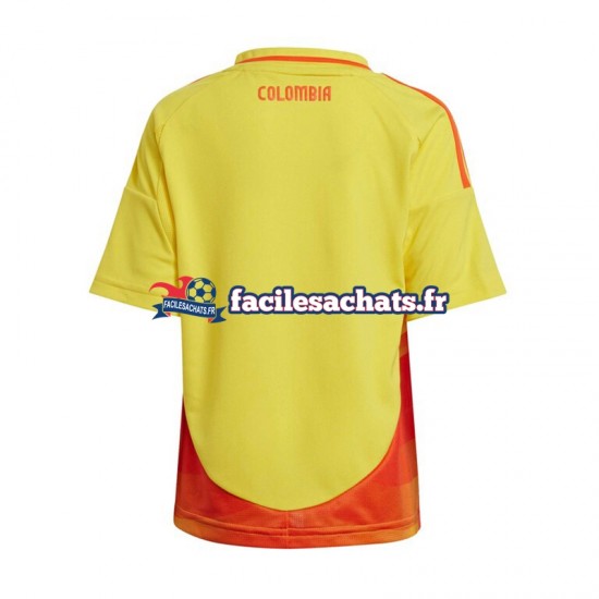 Maillot Colombie Copa America 2024 Domicile Homme MC