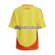 Maillot Colombie Copa America 2024 Domicile Homme MC