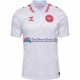 Maillot Danemark Euro 2024 Extérieur Homme MC