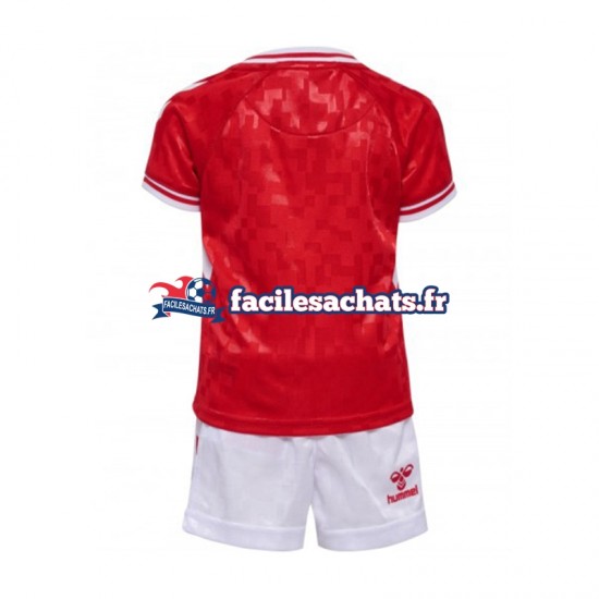 Maillot Danemark Euro 2024 Rouge Domicile Enfant MC