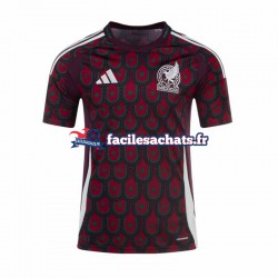 Maillot Mexique Copa America 2024 Domicile Homme MC