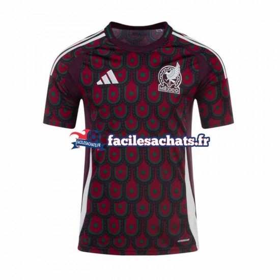 Maillot Mexique Copa America 2024 Domicile Homme MC