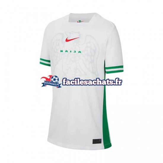 Maillot Nigeria 2024 Domicile Homme MC