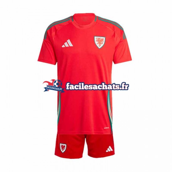 Maillot Pays de Galles 2024 Rouge Domicile Enfant MC