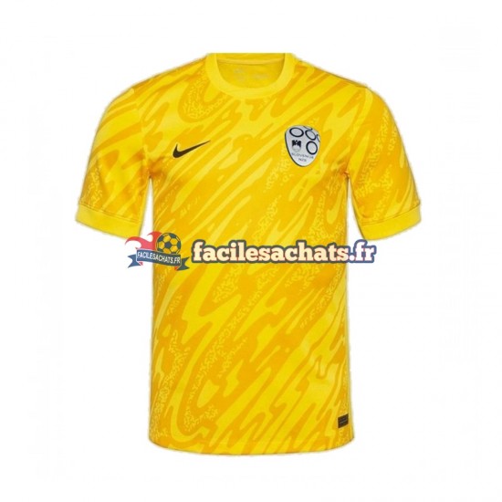 Maillot Slovénie Euro 2024 Gardien Jaune Domicile Homme MC