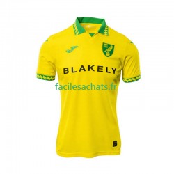 Maillot Norwich City 2025-2026 Domicile Homme MC