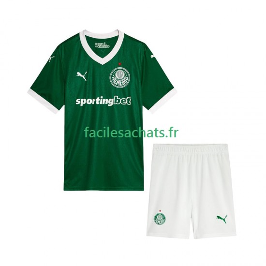 Maillot Palmeiras 2025-2026 Domicile Enfant MC