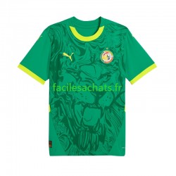 Maillot Sénégal 2025 Extérieur Homme MC