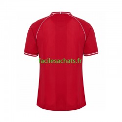 Maillot Danemark 2026 Domicile Homme MC