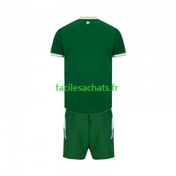 Maillot Irlande 2026 Domicile Enfant MC