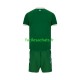 Maillot Irlande 2026 Domicile Enfant MC