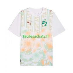 Maillot Côte d'Ivoire Extérieur Coupe du Monde 2026 Homme MC