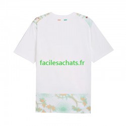 Maillot Côte d'Ivoire Extérieur Coupe du Monde 2026 Homme MC
