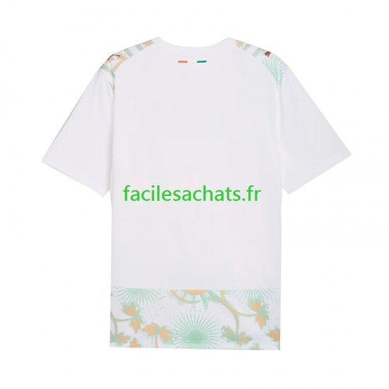 Maillot Côte d'Ivoire Extérieur Coupe du Monde 2026 Homme MC